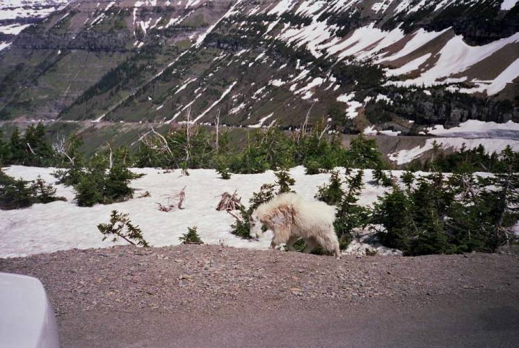 USA_1992-05-31 09-00-00_R08F14